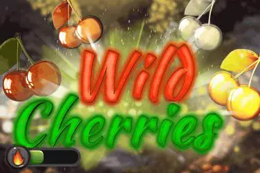 Wild Cherries - Spin City - Congo
